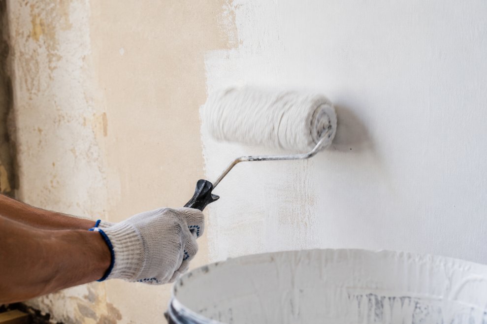 Pared perfectamente lisa y recién pintada de blanco roto en Lleida, sin restos de gotelé, con rodillo apoyado sobre cubeta de pintura